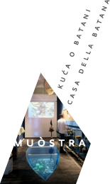 muostra